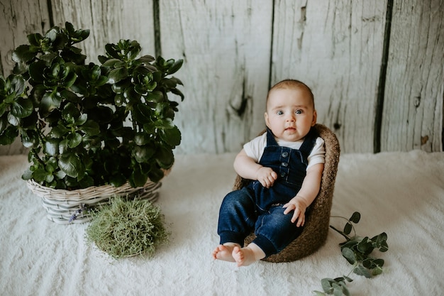 Free photo front view of little cute male child sitting in the chair. boy looking at the camera