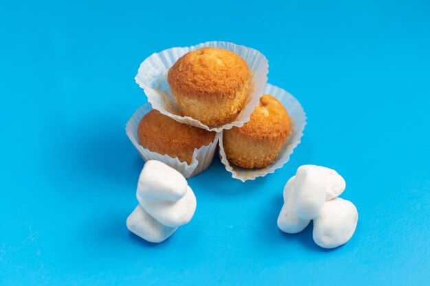 Front view little delicious cakes isolated on blue background 