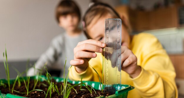 Front view of little girl measuring sprouts growing at home