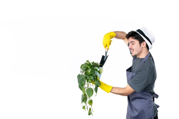 白い背景の上の鍋の小さな植物の後に世話をしている正面図の男性の庭師仕事地面の木花草仕事庭の茂み