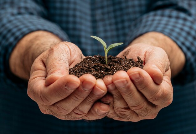 土と小さな植物を保持している男性の手の正面図