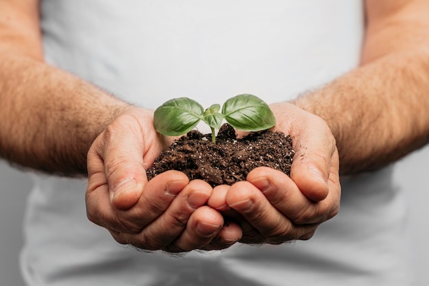 Front view of male hands holding soil and plant