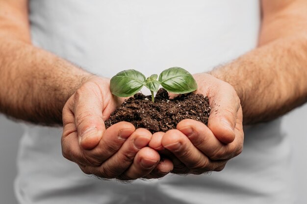 土と植物を保持している男性の手の正面図