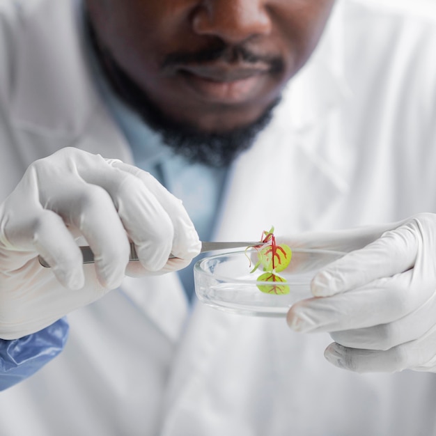 Front view of male researcher in the biotechnology laboratory with petri dish