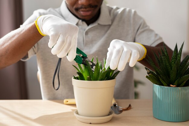 Front view man cutting plant's leaves