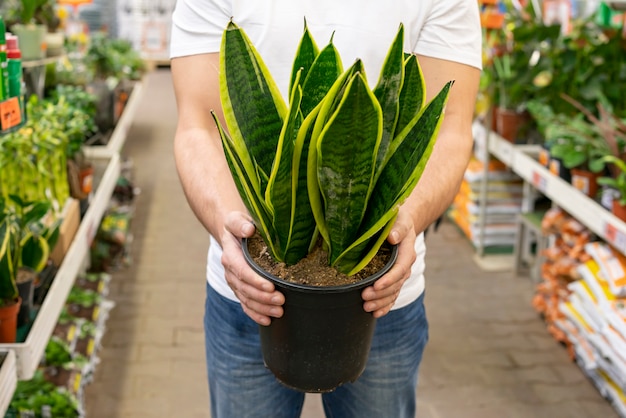 Front view man holding elegant house plant
