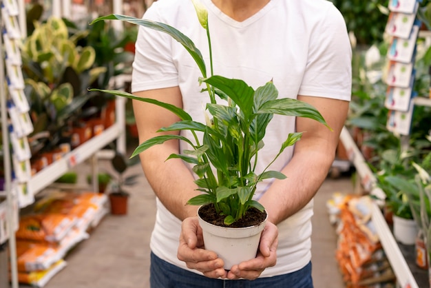 Free photo front view man holding house plant