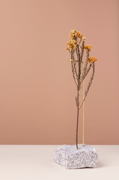 無料写真 コピースペースのあるロックスタンドの花の装飾の正面図
