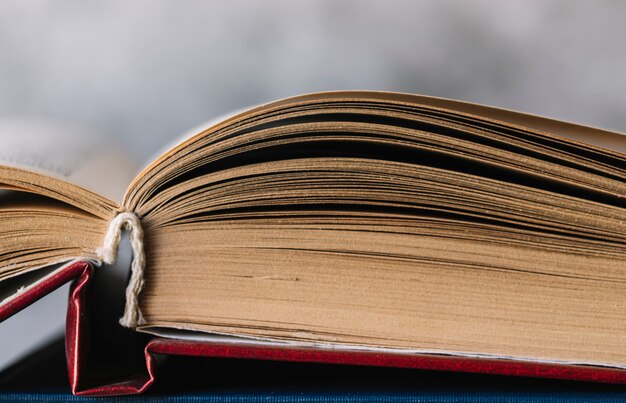 Красная книга кольского полуострова