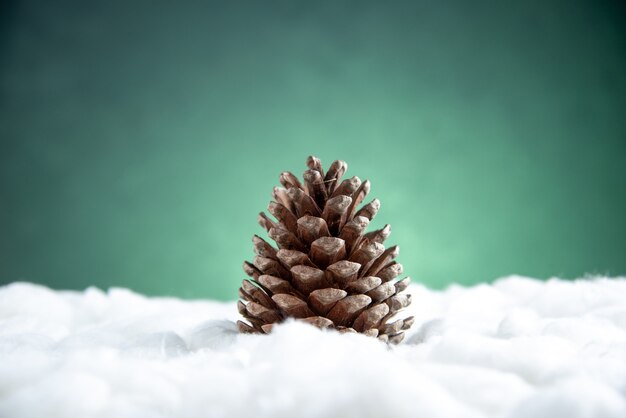 녹색 절연 된 표면에 전면보기 오픈 pinecone