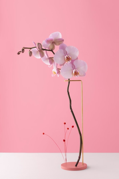 Вид спереди на цветы орхидеи на подставке