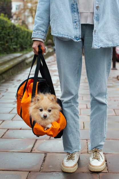 Front view owner holding bag with dog