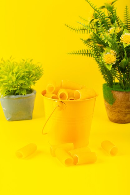 A front view pasta inside basket formed raw inside yellow basket along with plants on the yellow background meal food italian spaghetti