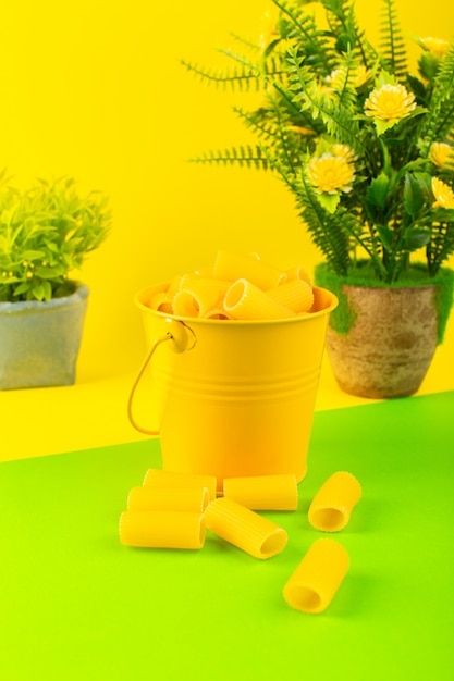 A front view pasta inside basket formed raw inside yellow basket along with plants on the yellow-green background meal food italian spaghetti