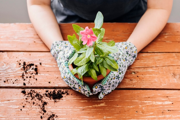 Foto gratuita persona di vista frontale che tiene un vaso di fiori