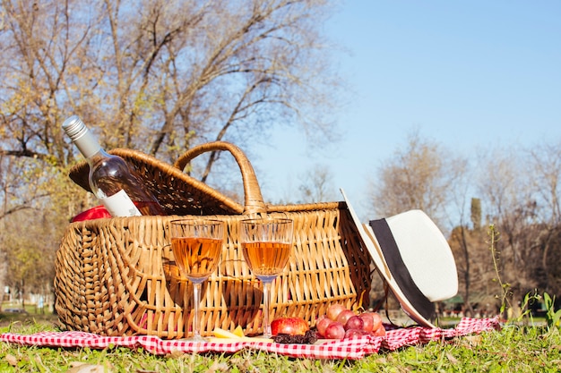 Front view picnic basket with bottle of wine