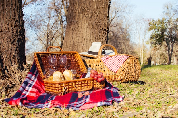 Front view picnic baskets full of goodies 