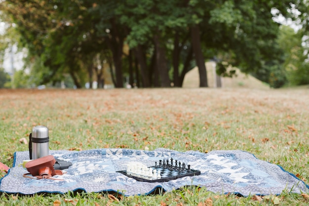 Free photo front view picnic in park concept