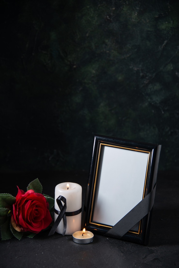 Free Photo front view of picture frame with red flower on black