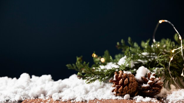 Front view of pine cone with copy space