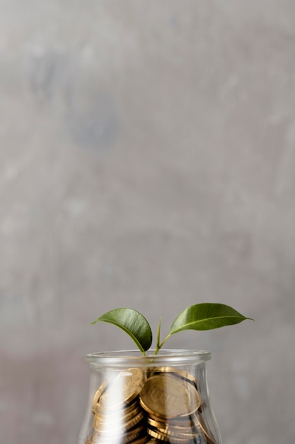 Front view of plant growing from jar of coins with copy space