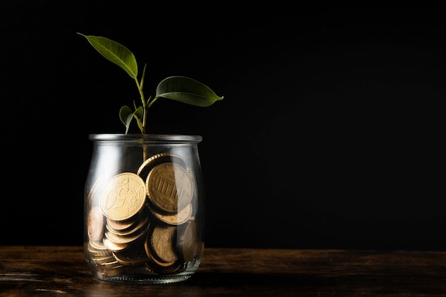 Front view of plant growing from jar with coins and copy space