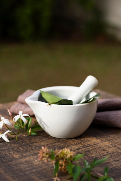 Front view plants in a bowl