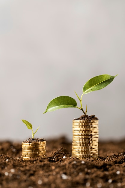 Front view of plants with coins stacked on dirt and copy space