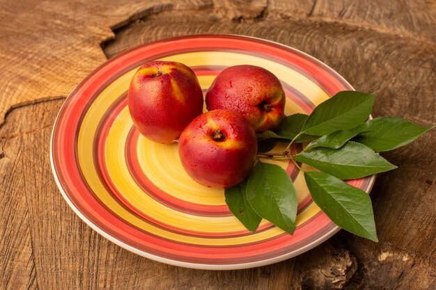 Front view plate with peaches inside colorful plate on wooden desk