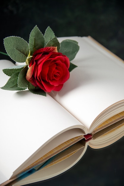 Front view of red flower with open book on dark