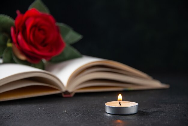 Front view of red flower with open book on dark