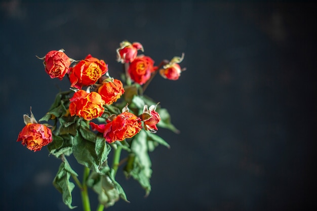 Front view red withered flowers on dark surface