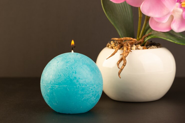 Free Photo a front view round shaped candle blue colored designed along with potty with flower on the dark background bright fire decoration