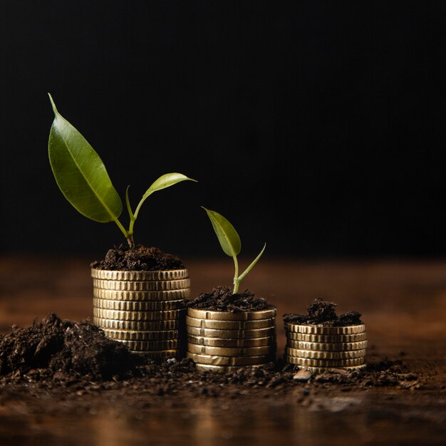 Front view of stacked coins with dirt and plant