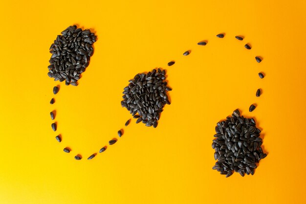 A front view sunflower seeds black and fried lined on yellow