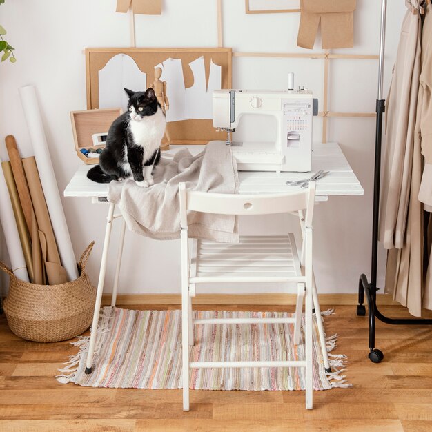 Вид спереди ателье пошива со швейной машиной и кошкой