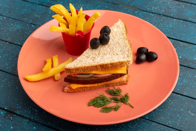 ブルーのフライドポテトとピンクプレート内のオリーブハムトマトと正面のおいしいサンドイッチ