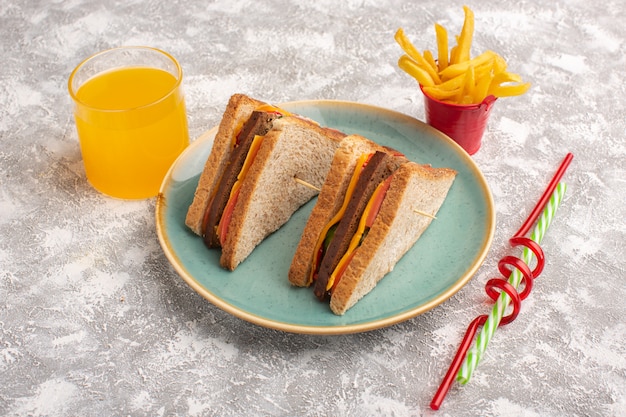 Вид спереди вкусные бутерброды с тостами с сырной ветчиной внутри синей тарелки с соком картофеля фри на белом