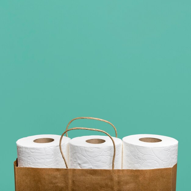 Front view of three toilet paper rolls in paper bag with copy space