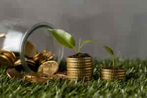 Free photo front view of two stacks of coins on grass with jar and plants