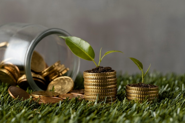 Front view of two stacks of coins on grass with jar and plants