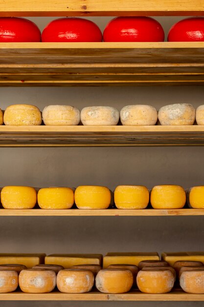 さまざまなチーズの正面図