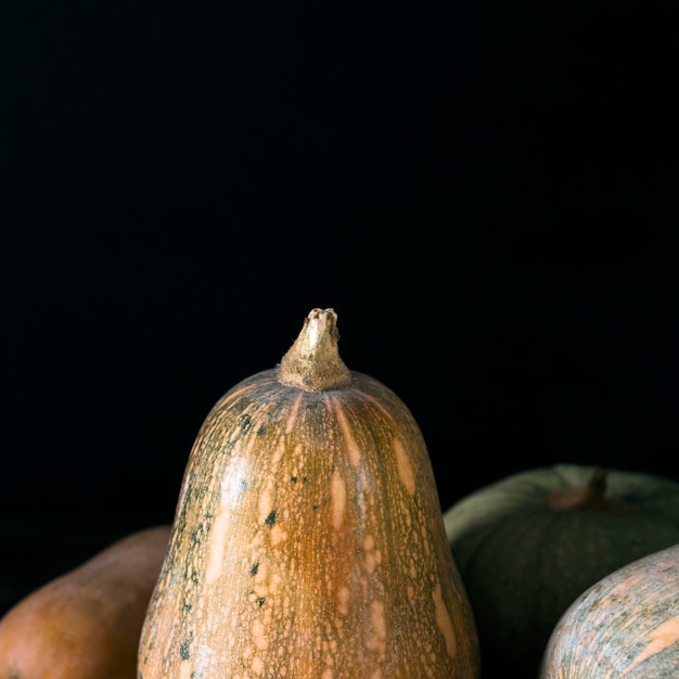 Foto gratuita vista frontale di vari zucca di autunno con lo spazio della copia