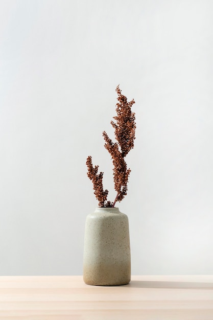 Free photo front view of vase with plant