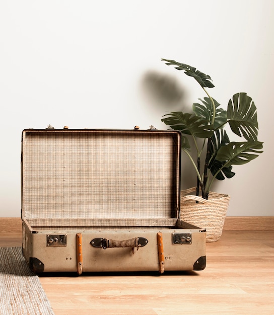 Front view vintage suitcase with interior plant