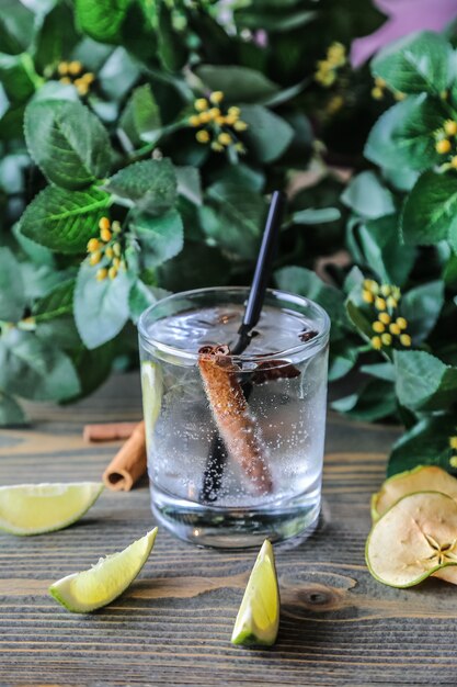 Front view water in a glass with cinnamon and lime