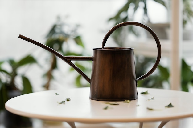 Front view of watering can on table in the apartment with plants