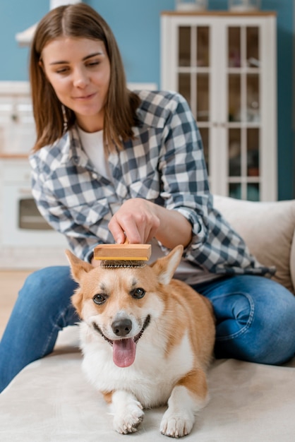 彼女の犬を磨く女性の正面図