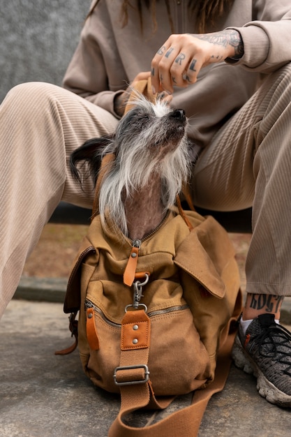 Foto gratuita cane di trasporto della donna di vista frontale in borsa