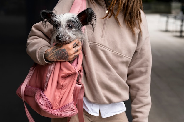 Front view woman carrying puppy in bag